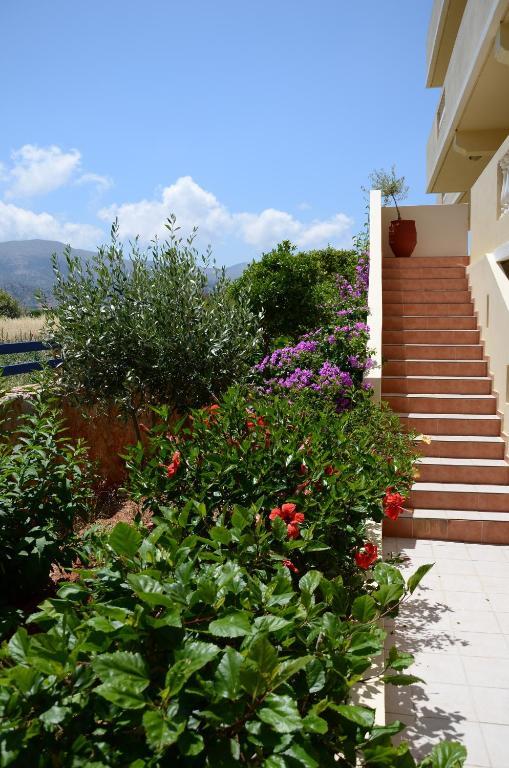 Cretan Family Apartments Malia Exteriér fotografie