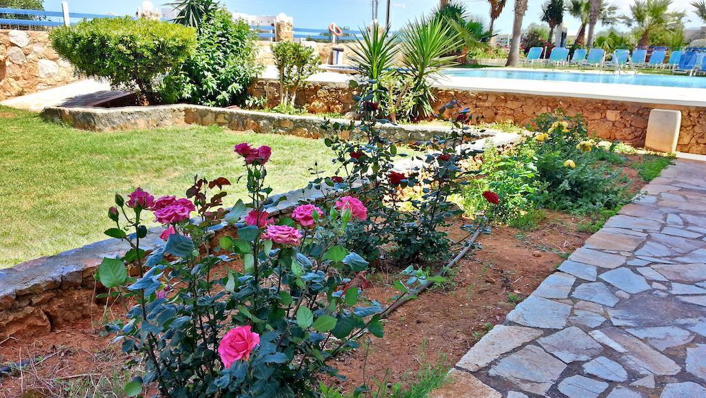 Cretan Family Apartments Malia Exteriér fotografie